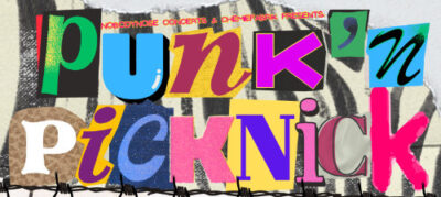 Punk`n`Picknick